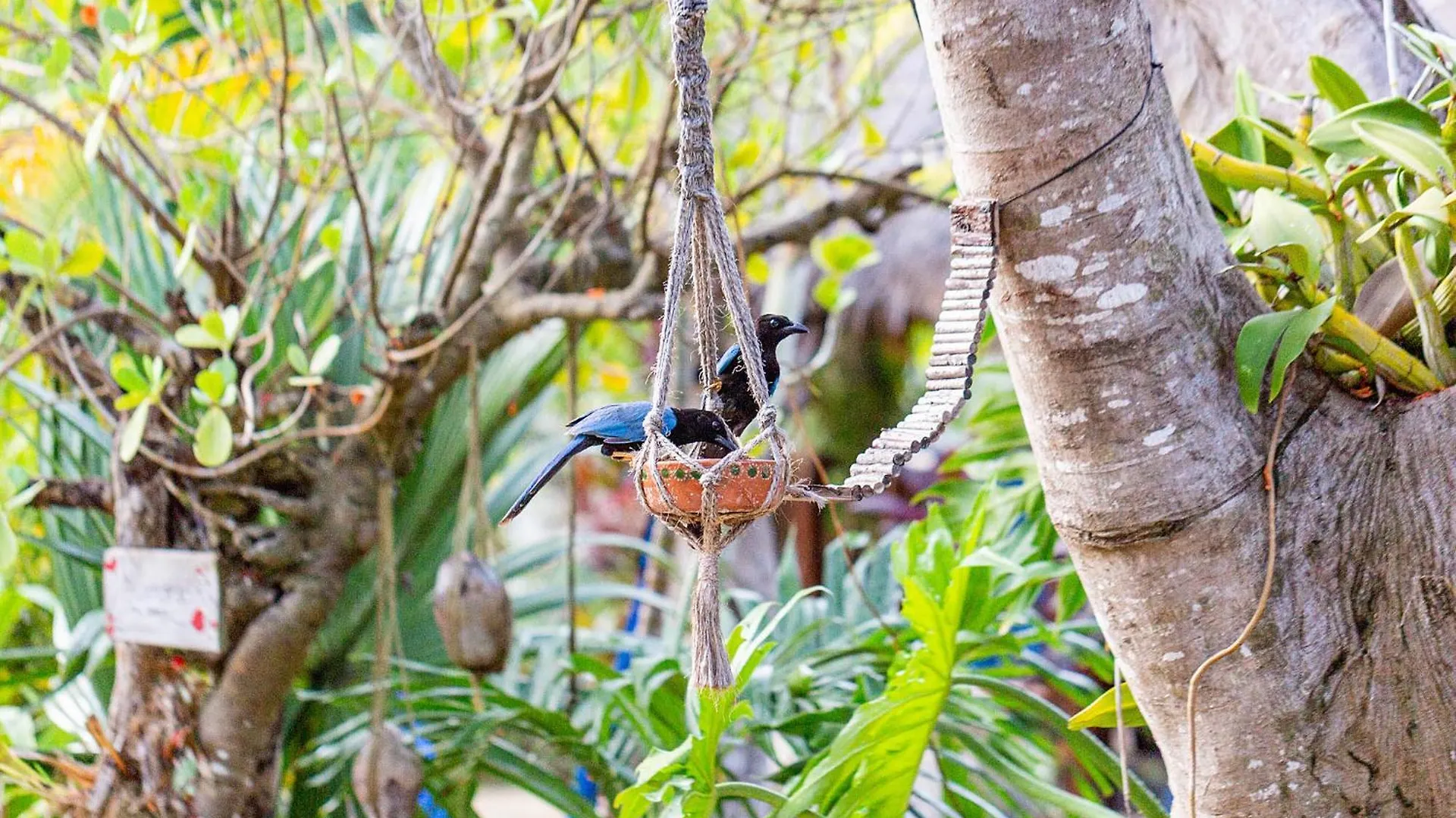Inn Zamunda Garden View Hotel Tulum